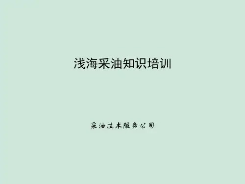 浅海采油知识培训