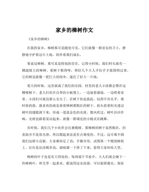 家乡的樟树作文