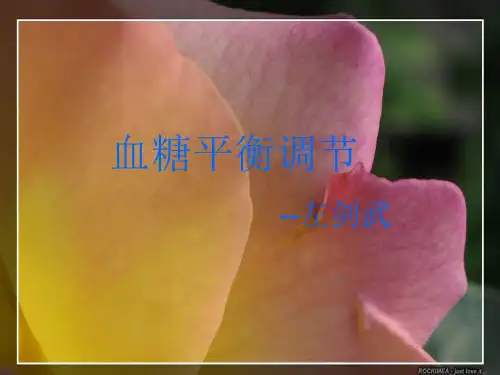 血糖平衡调节