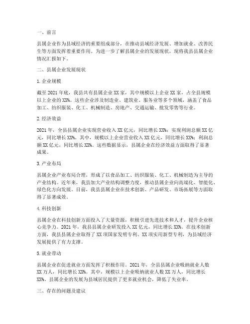 县属企业情况汇报