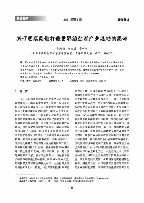关于更高质量打造世界级盐湖产业基地的思考