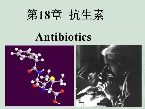 抗生素2-头孢菌素