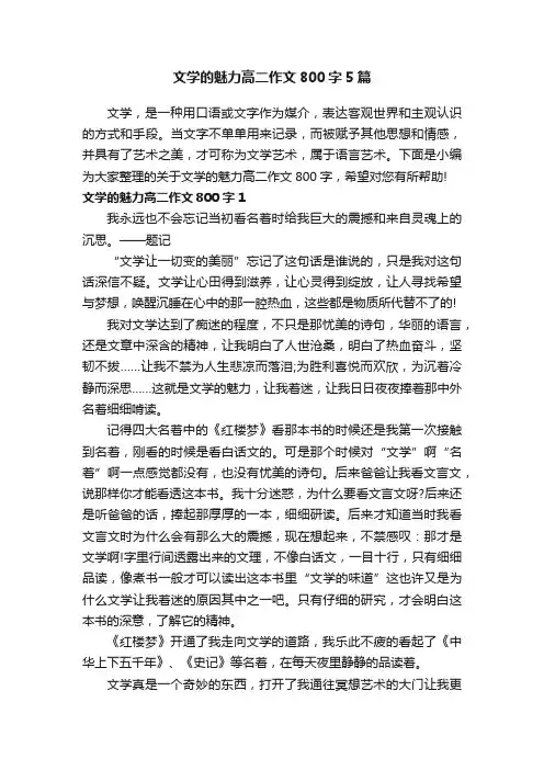 文学的魅力高二作文800字5篇