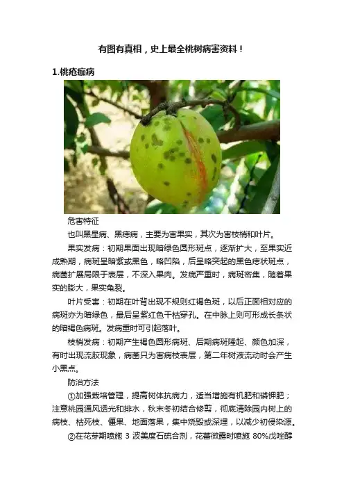 有图有真相，史上最全桃树病害资料！