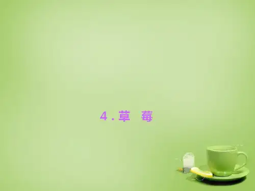 公开课教案教学设计课件语文版初中语文九上《草莓》PPT课件 (六)
