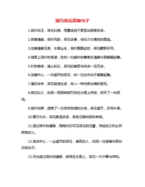 描写荷花高级句子