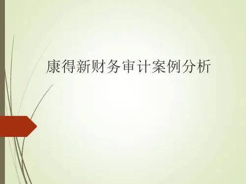 康得新财务审计案例分析