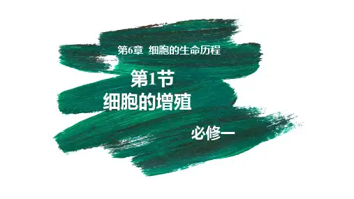 61细胞的增殖(优质精讲课)高一生物(人教版2019必修1)