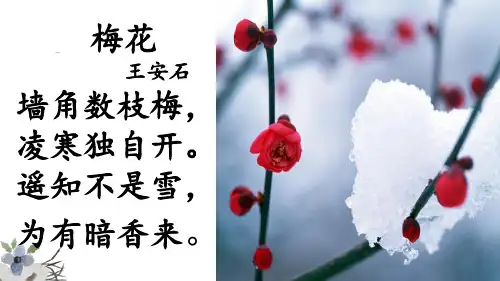 18课《一颗小桃树》课件