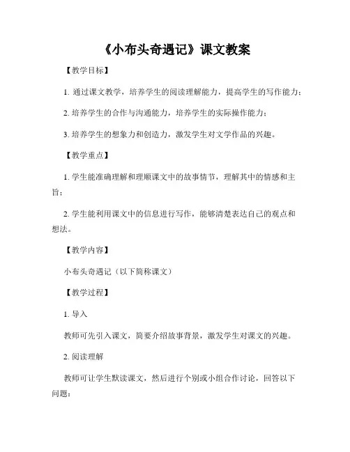 《小布头奇遇记》课文教案