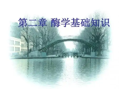 第02章 酶学基础知识