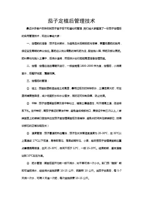茄子定植管理技术