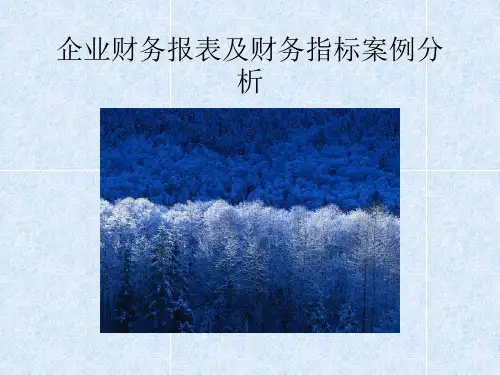 企业财务报表及财务指标案例分析-PowerPointP