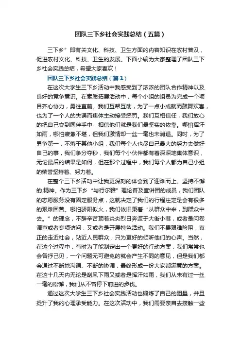 团队三下乡社会实践总结（五篇）