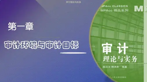 高级审计理论与实务-审计环境与审计目标