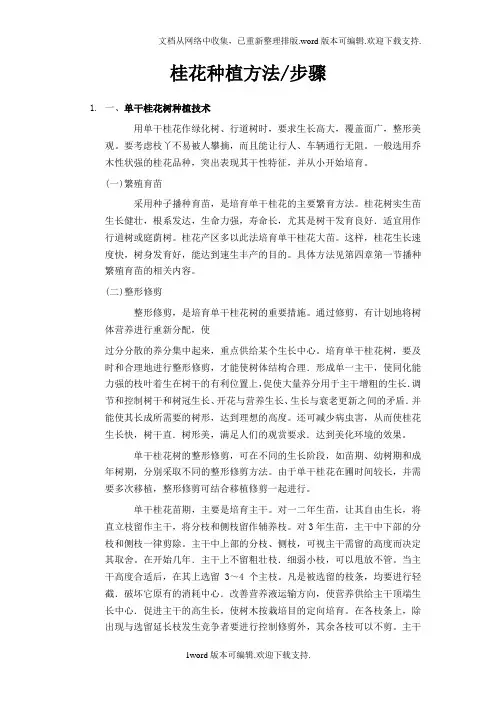 桂花种植方法步骤