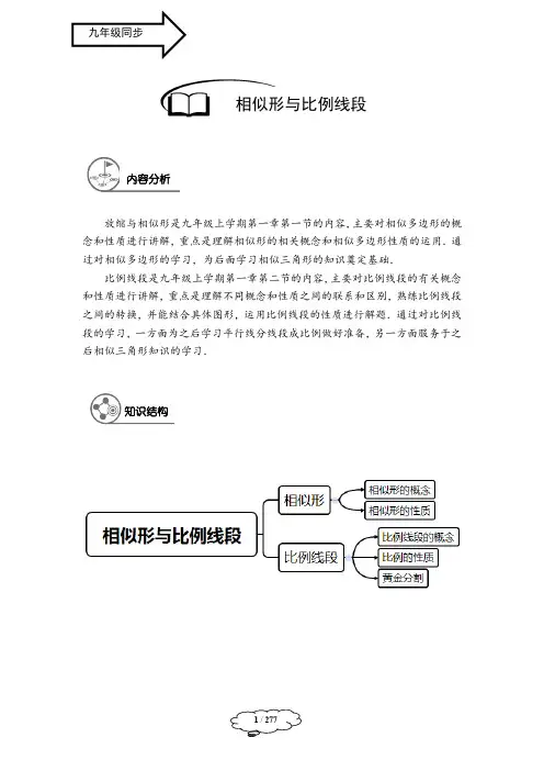 沪教版九年级数学上册同步精品讲义
