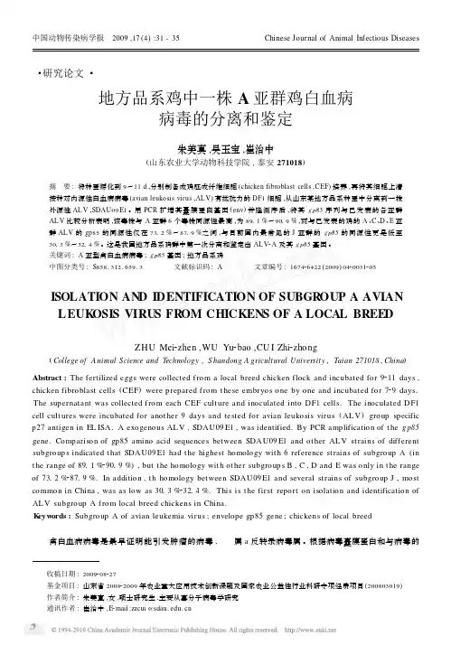地方品系鸡中一株 A 亚群鸡白血病 病毒的分离和鉴定