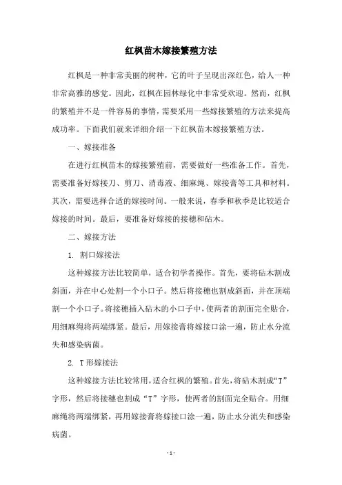 红枫苗木嫁接繁殖方法