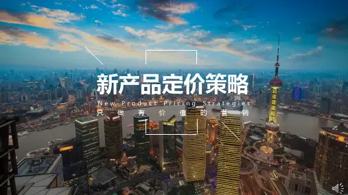 新产品定价策略