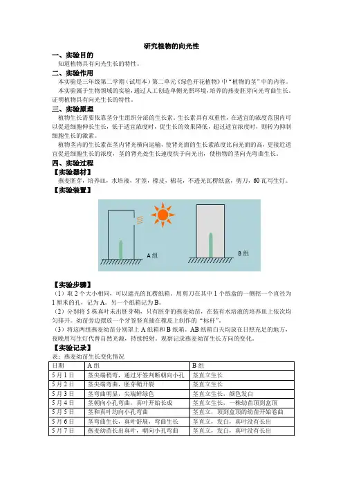 小学实验手册612研究植物的向光性