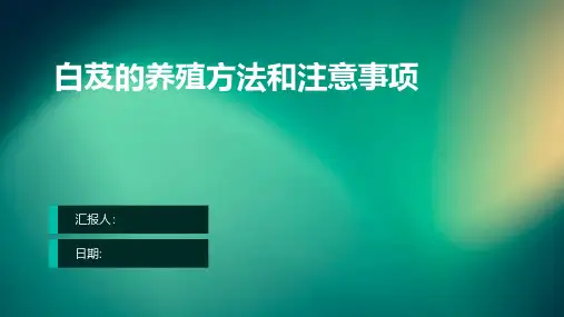 白芨的养殖方法和注意事项