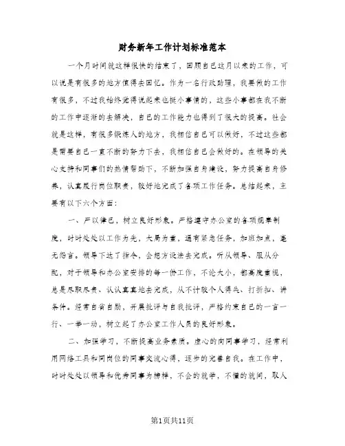 2024年财务新年工作计划标准范本（4篇）