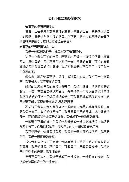 岩石下的坚强抒情散文