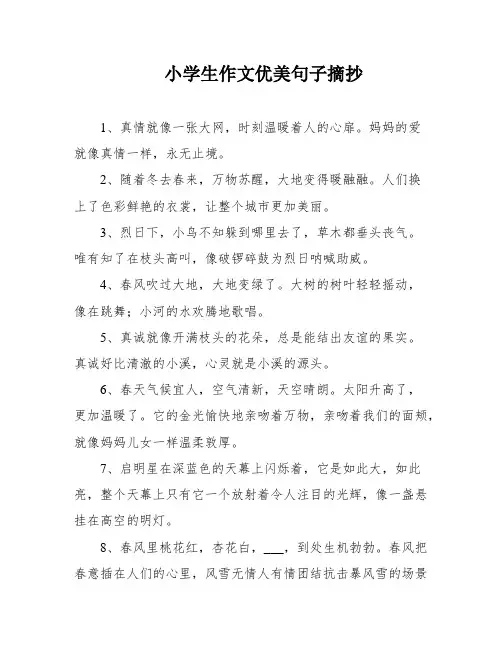 小学生作文优美句子摘抄