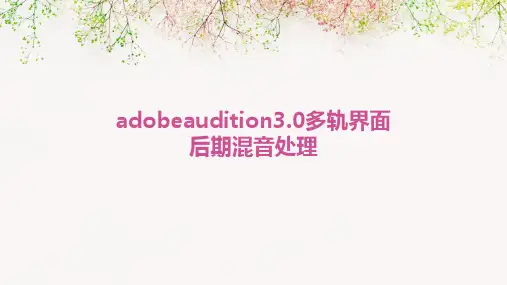 AdobeAudition3.0多轨界面后期混音处理