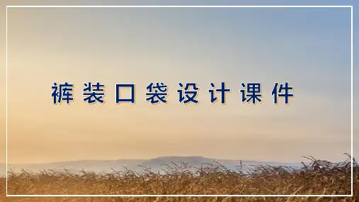 裤装口袋的设计ppt课件