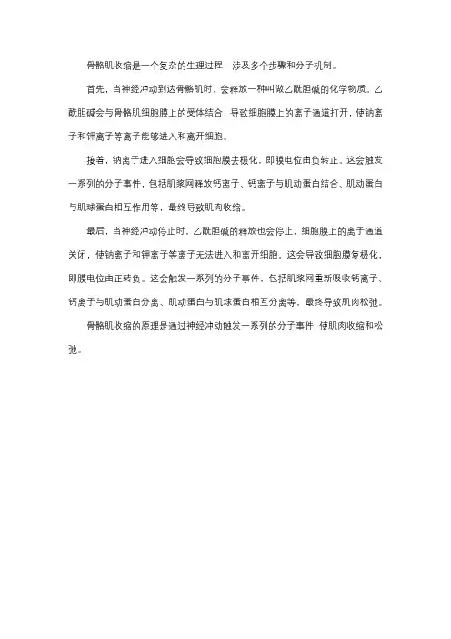 简述骨骼肌收缩原理