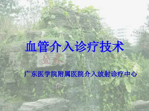 经皮血管成形术