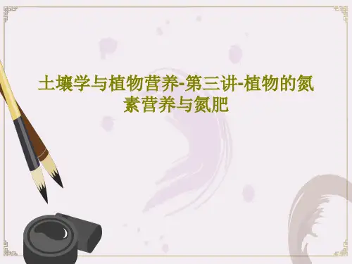 土壤学与植物营养-第三讲-植物的氮素营养与氮肥PPT96页