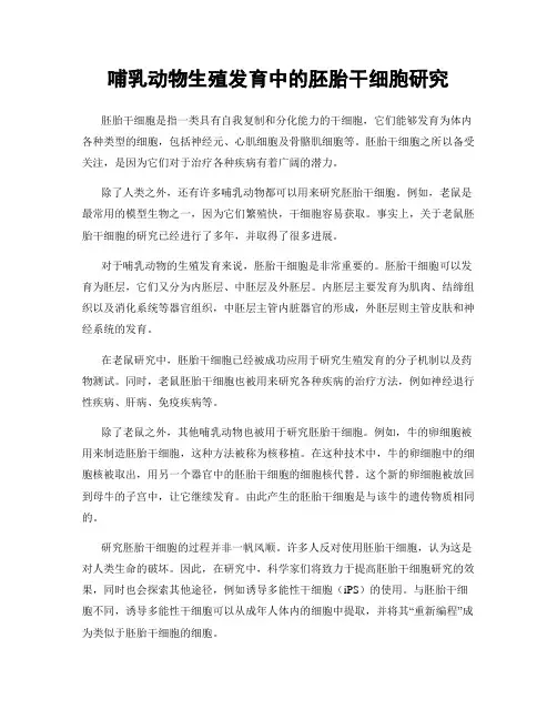 哺乳动物生殖发育中的胚胎干细胞研究