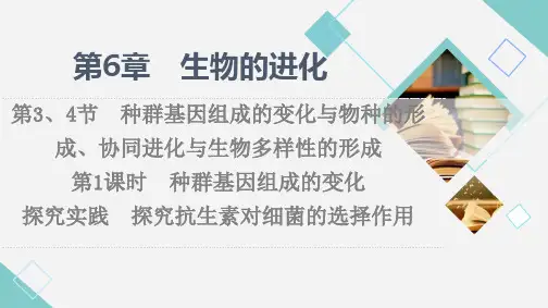高中物理第6章 第3、4节 第1课时 探究实践 探究抗生素对细菌的选择作用