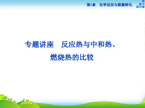高中化学鲁科版选修四 第1章第1节专题讲座 课件