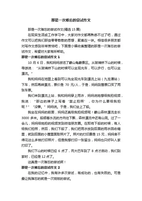 那是一次难忘的尝试作文