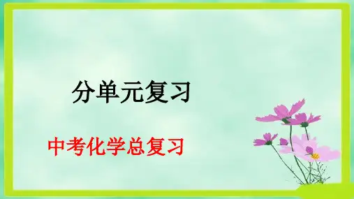 人教版九年级中考化学分单元总复习课件(精选)