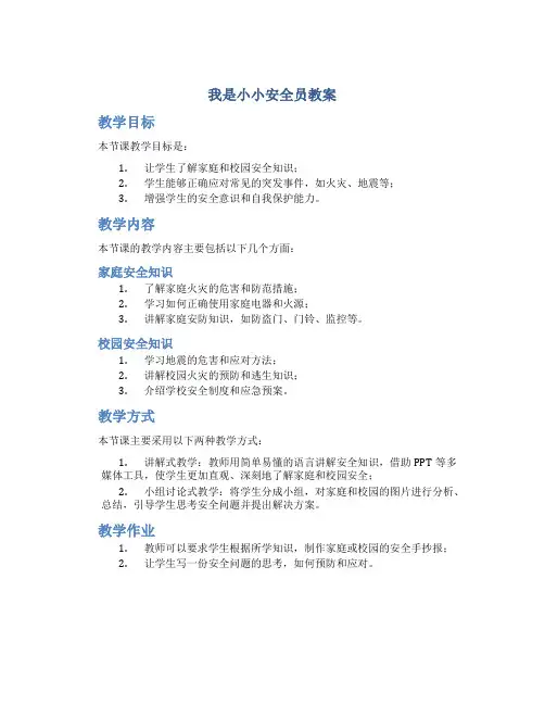 我是小小安全员教案