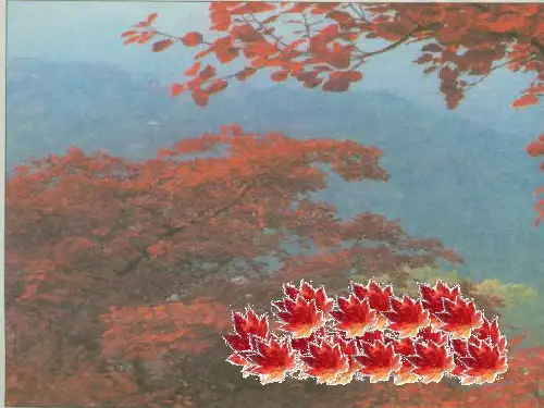 第一册 香山红叶