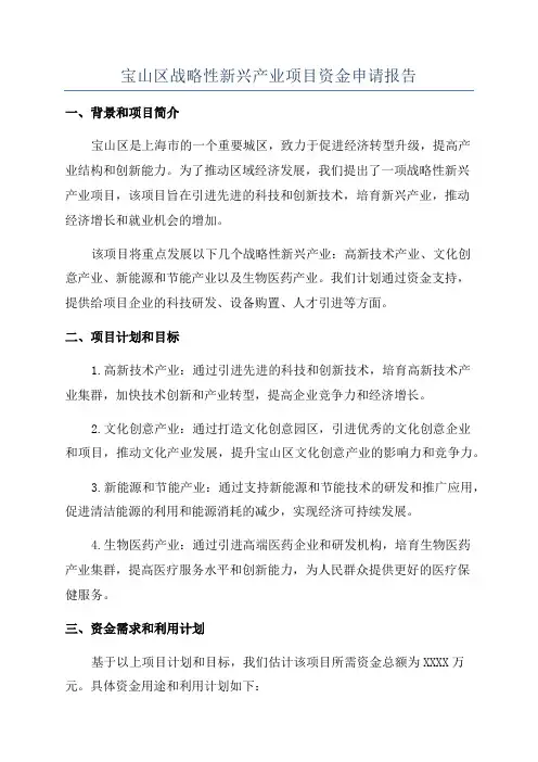 宝山区战略性新兴产业项目资金申请报告