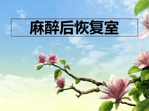 麻醉复苏室  ppt课件
