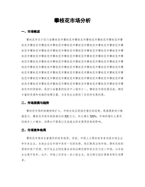 攀枝花市场分析