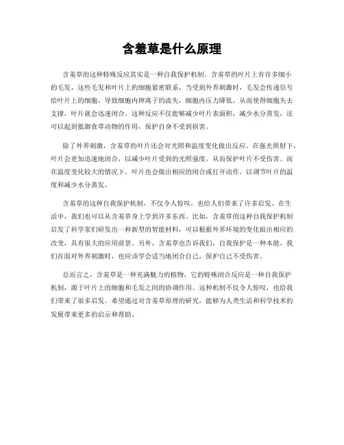 含羞草是什么原理