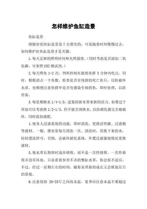 怎样维护鱼缸造景