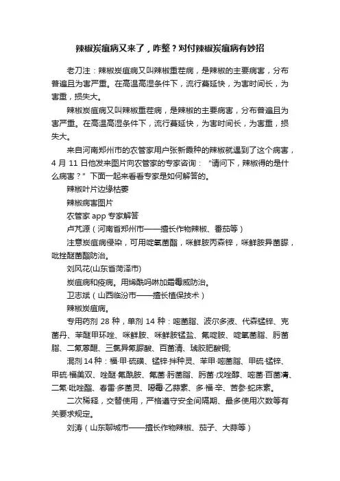 辣椒炭疽病又来了，咋整？对付辣椒炭疽病有妙招