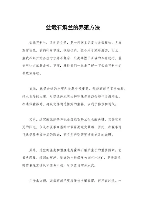 盆栽石斛兰的养殖方法