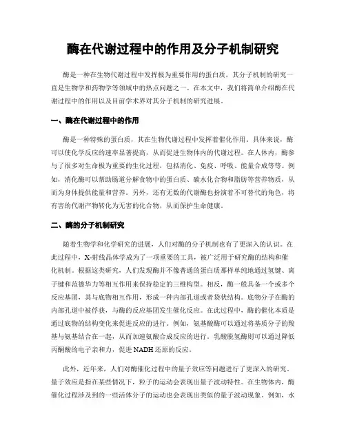 酶在代谢过程中的作用及分子机制研究