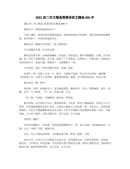 2021初二作文精选琵琶语范文精选800字